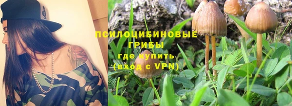 круглые Корсаков
