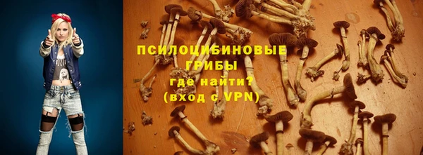 круглые Корсаков